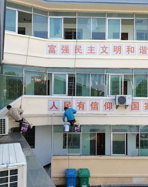 婚房没住人被小区保洁换锁养鸡 婚房没住人被小区保洁换锁养鸡