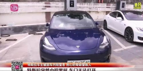 王大陆因不会开特斯拉车门捶窗 王大陆因不会开特斯拉车门捶窗
