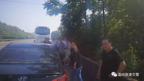 温州到灵溪汽车多少钱 温州到灵溪汽车多少钱