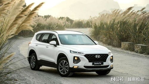 越南汽车现代价格多少 越南汽车现代价格多少