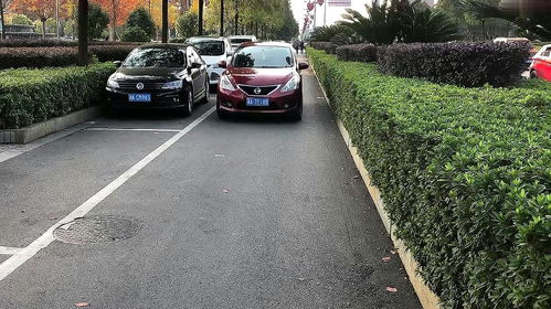 汽车停放多少天最合适呢 汽车停放多少天最合适呢