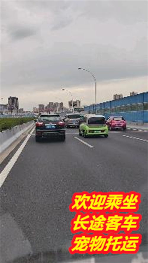 河源到惠州汽车多少钱 河源到惠州汽车多少钱