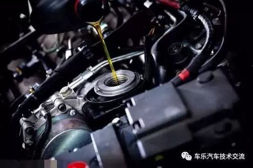 汽车加机油多少钱 汽车加机油多少钱