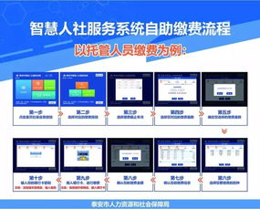 委员建议让个体自由选择是否缴社保