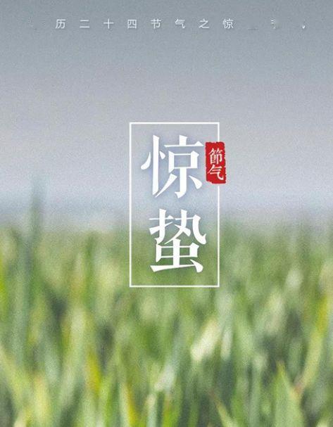 今日惊蛰:谨防这些“致命”的小东西 今日惊蛰:谨防这些“致命”的小东西