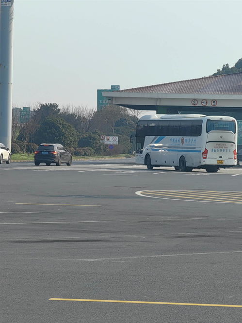 营山到西充汽车多少钱 营山到西充汽车多少钱