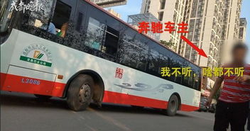 成都有多少公共汽车司机 成都有多少公共汽车司机