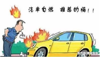 汽车自燃报保险赔多少 汽车自燃报保险赔多少