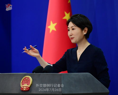 毛宁首次主持两会外长会 毛宁首次主持两会外长会