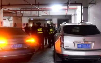汽车不出险有优惠多少 汽车不出险有优惠多少