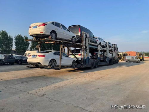 新疆托运汽车多少钱 新疆托运汽车多少钱