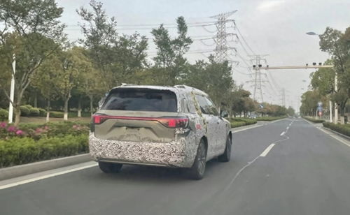 车主变野生销冠!63小时卖753台问界 车主变野生销冠!63小时卖753台问界