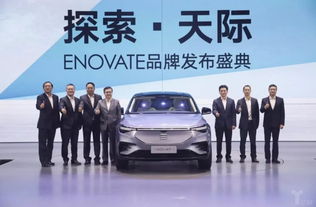 中国有多少合资汽车 中国有多少合资汽车