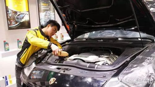 汽车免费首保多少公里