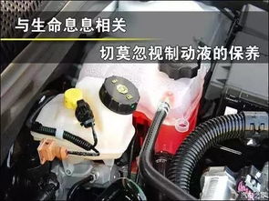 汽车多少公里换刹车油 汽车多少公里换刹车油