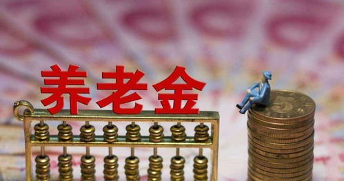 代表建议农民基础养老金提高到600 代表建议农民基础养老金提高到600