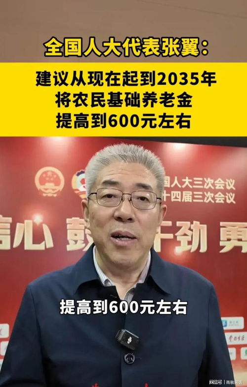 代表建议农民基础养老金提高到600 代表建议农民基础养老金提高到600