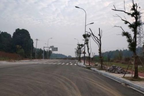 公路汽车转弯半径多少 公路汽车转弯半径多少