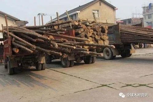 汽车每天运送多少吨木材 汽车每天运送多少吨木材