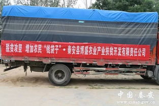 秦安到兰州汽车车票多少 秦安到兰州汽车车票多少