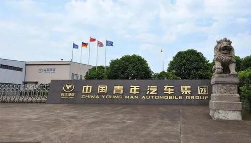 青年汽车政府投资多少 青年汽车政府投资多少