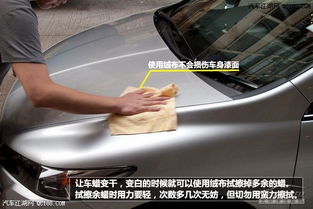 汽车划痕打蜡多少钱 汽车划痕打蜡多少钱