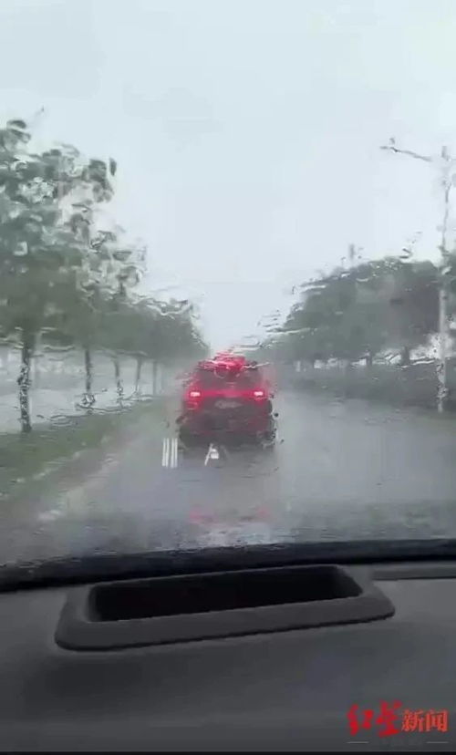 勉县共有多少辆汽车车 勉县共有多少辆汽车车
