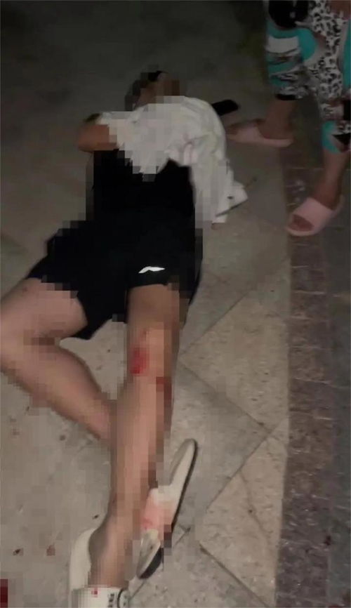 妻子被骚扰男子反击砍伤一人 妻子被骚扰男子反击砍伤一人