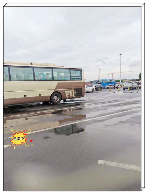 湖州绿色汽车班次多少 湖州绿色汽车班次多少