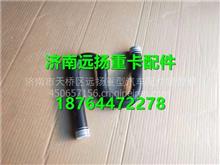 汽车胶木水管多少钱 汽车胶木水管多少钱