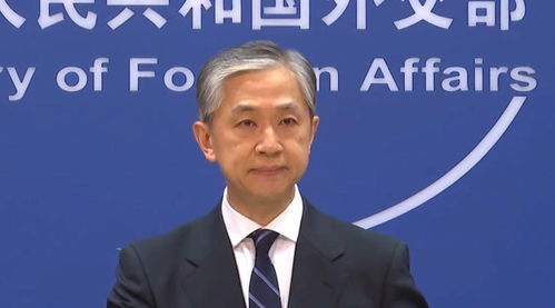 外交部:台湾没有什么“总统” 外交部:台湾没有什么“总统”