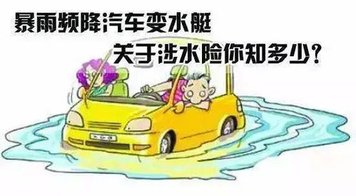 汽车一共有多少险 汽车一共有多少险