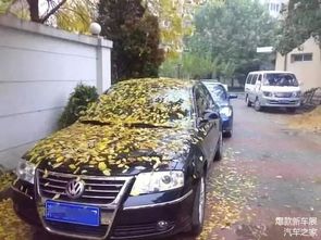 桂东汽车报废补贴多少 桂东汽车报废补贴多少
