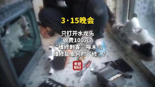 维修刺客啄木鸟 开个水龙头收100 维修刺客啄木鸟 开个水龙头收100