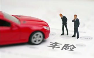 汽车司机险买多少合适呢
