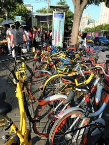 共享单车需求多少辆汽车 共享单车需求多少辆汽车