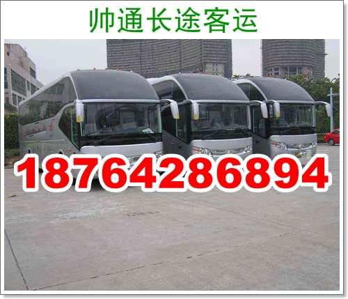 洛阳到偃师多少钱汽车 洛阳到偃师多少钱汽车