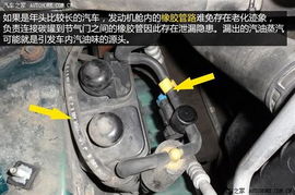 汽车高压油管多少钱 汽车高压油管多少钱