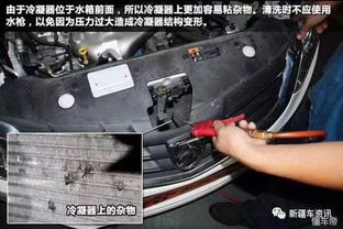 汽车洗水箱多少钱