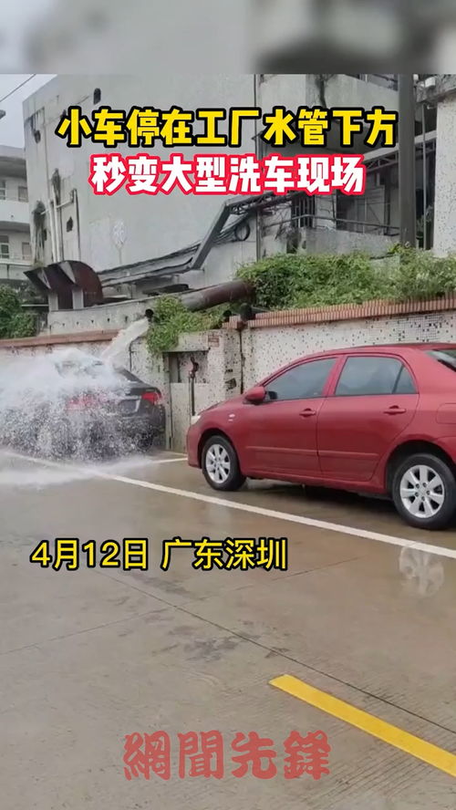 大洗汽车多少钱 大洗汽车多少钱