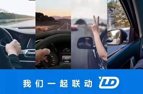 联动云共享汽车市值多少