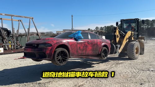 地狱猫汽车多少钱 地狱猫汽车多少钱
