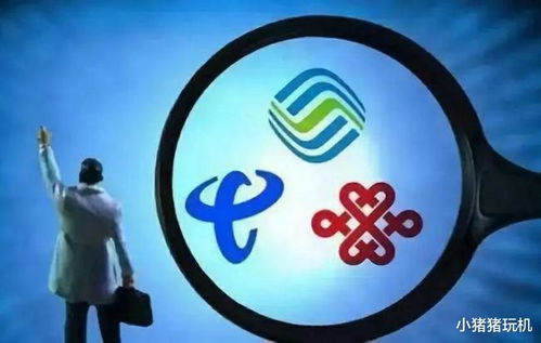 三大运营商集体回应:全面自查 三大运营商集体回应:全面自查