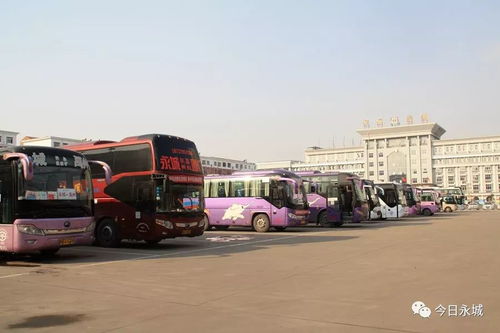 春运汽车客运涨价多少了 春运汽车客运涨价多少了