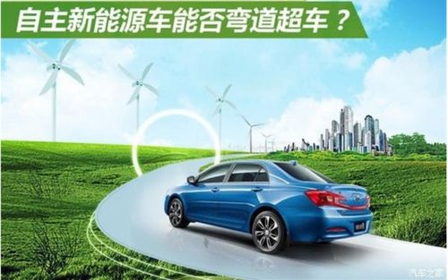 汽车尾牙多少钱