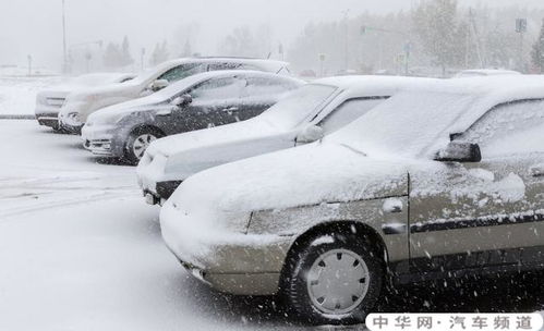 汽车低温清理多少钱 汽车低温清理多少钱