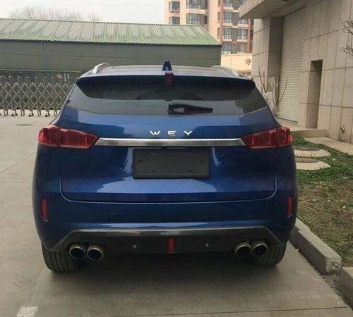 w01汽车多少钱
