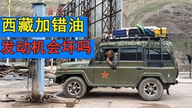 汽车自媒体拍车收入多少 汽车自媒体拍车收入多少