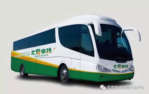 神木汽车站小姐多少钱 神木汽车站小姐多少钱