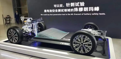 汽车上牌子多少钱 汽车上牌子多少钱